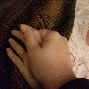 Meet your Posher, Dawn